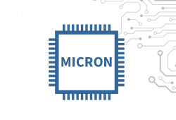 Micron˾⣩־